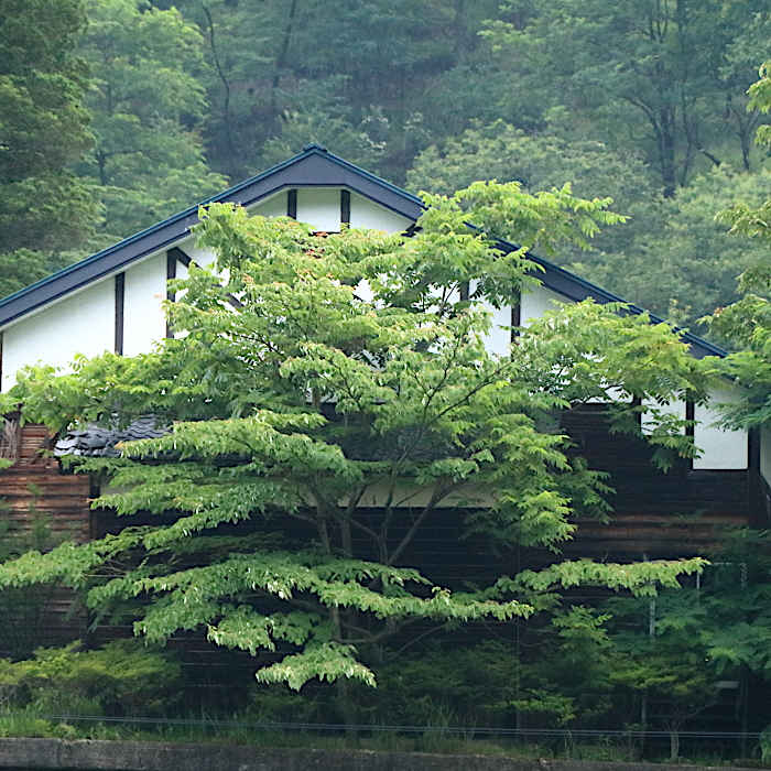 4.本山小学校講堂