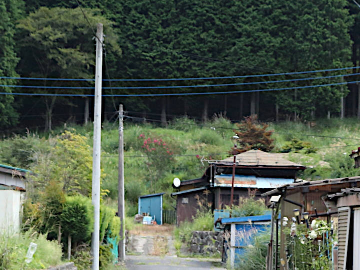 写真10