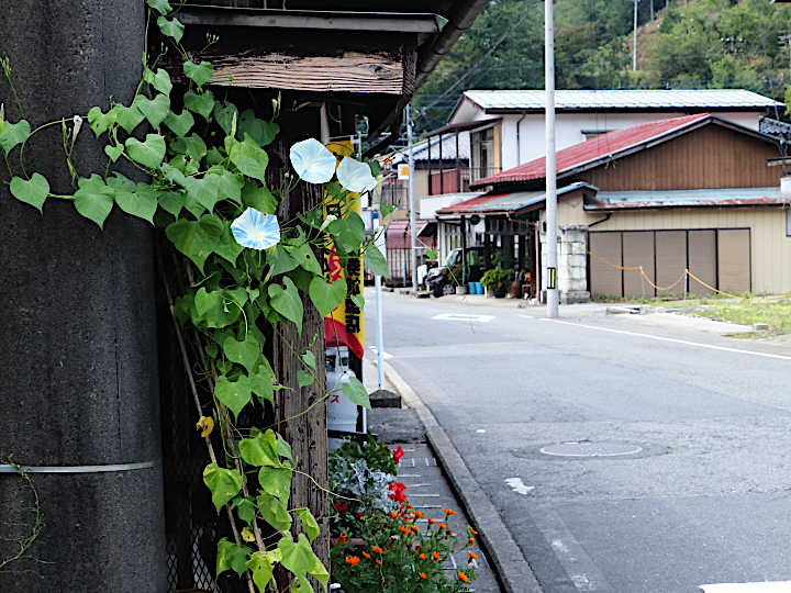 写真12