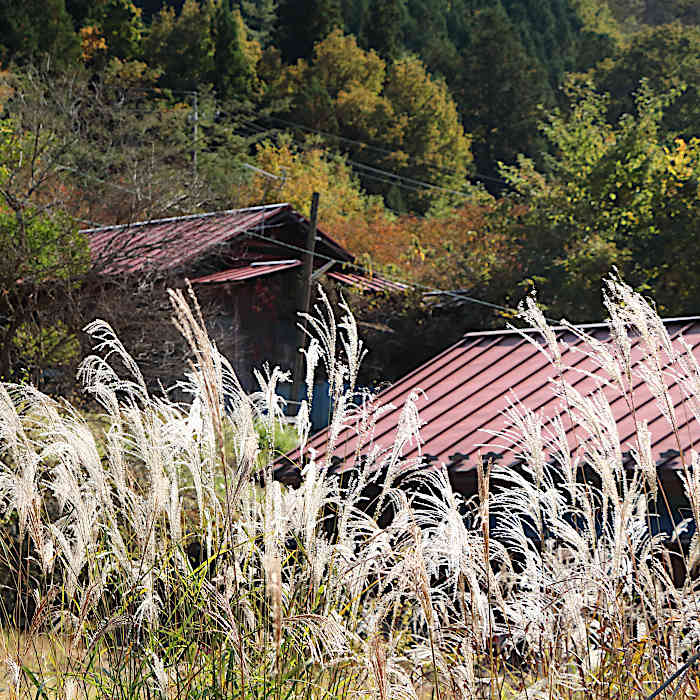 7.渡良瀬地区