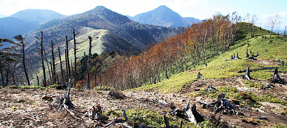 この写真のサイズ980x440です