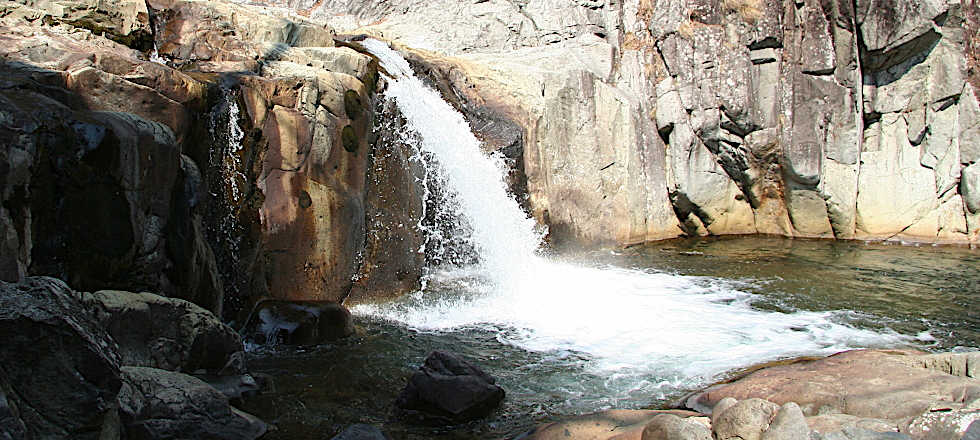この写真のサイズ980x440です