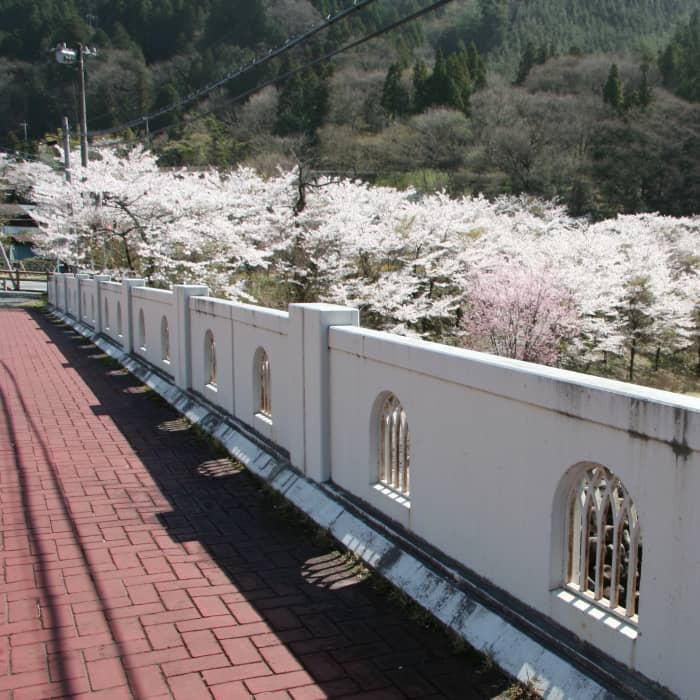 5.渡良瀬橋