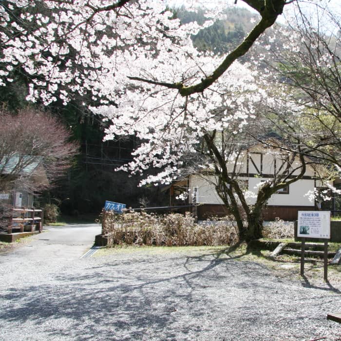 6.渡良瀬公園