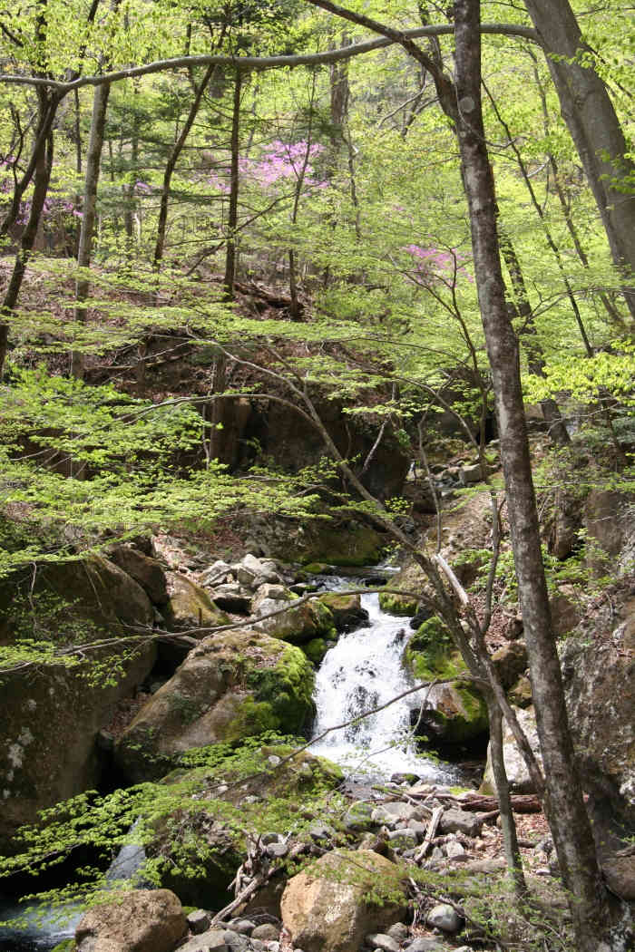 9.水ノ面沢