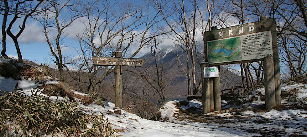 この写真のサイズ980x440です