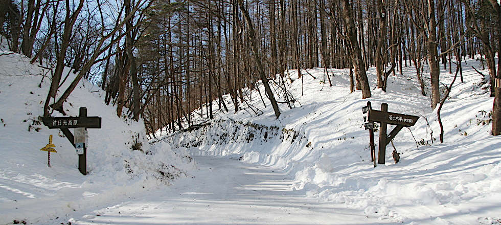 この写真のサイズ980x440です