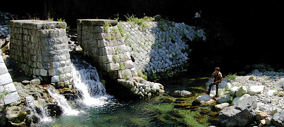 この写真のサイズ980x440です