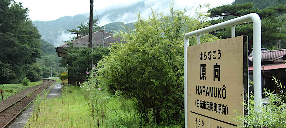 この写真のサイズ980x440です