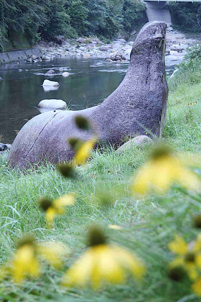 14.オットセイ岩