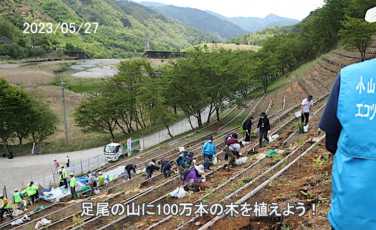 春の植樹デー